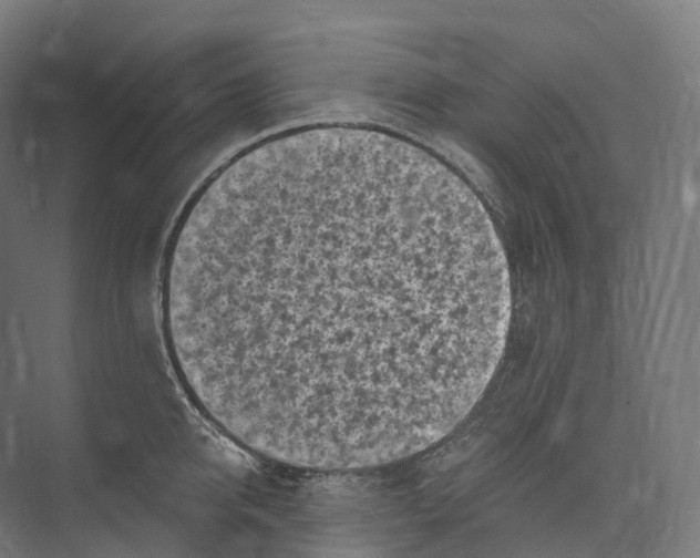 X0000073980950200609181713