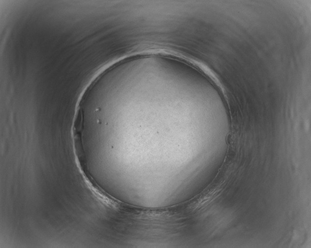 X0000073980951200609181713