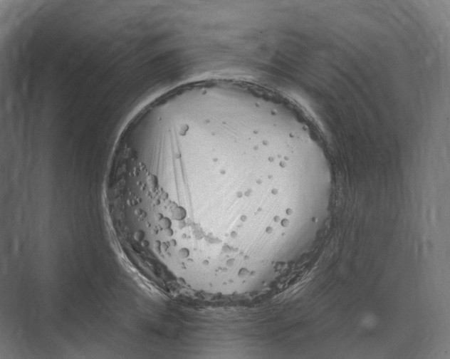 X0000073980952200609181713