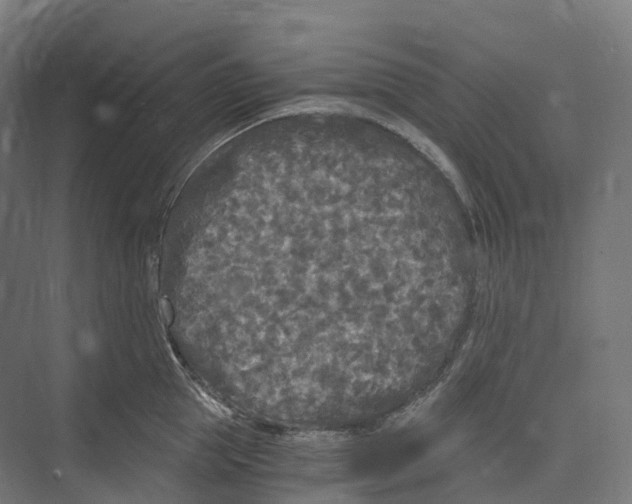 X0000073980953200609181713