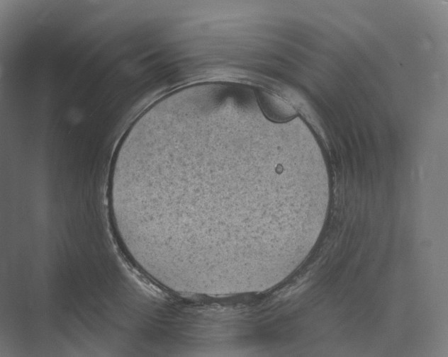 X0000073980954200609181713