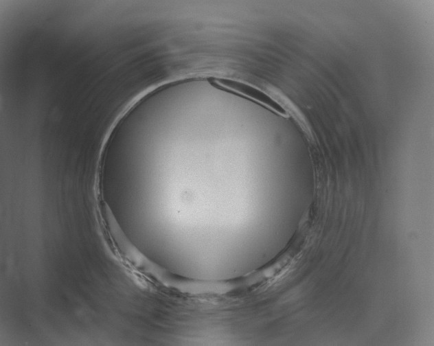 X0000073980956200609181713