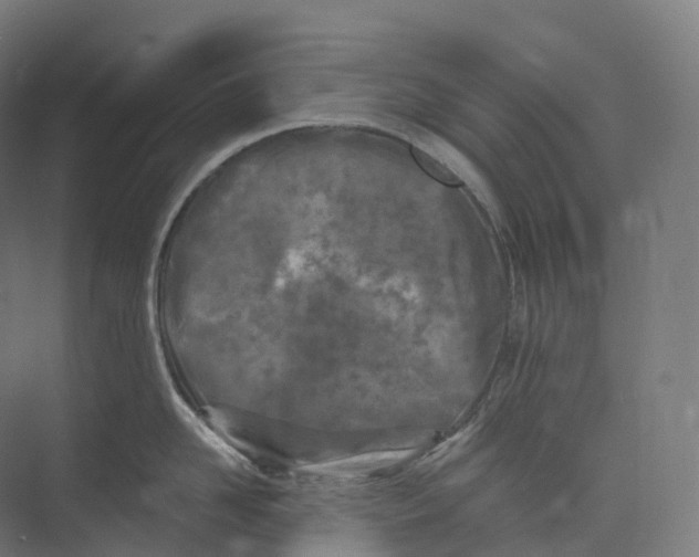 X0000073980958200609181713