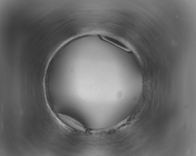 X0000073980959200609181713