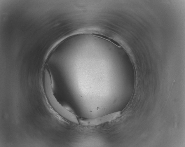 X0000073980960200609181713