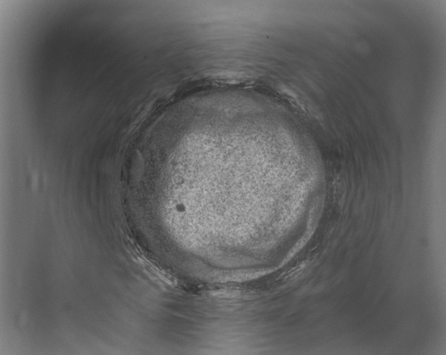 X0000073980961200609181712