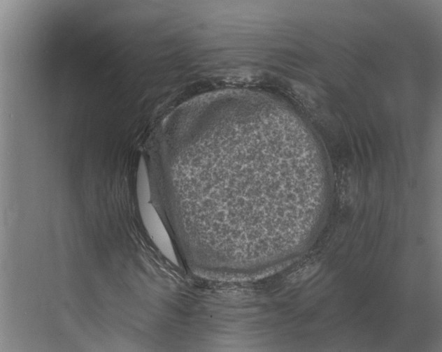 X0000073980962200609181712