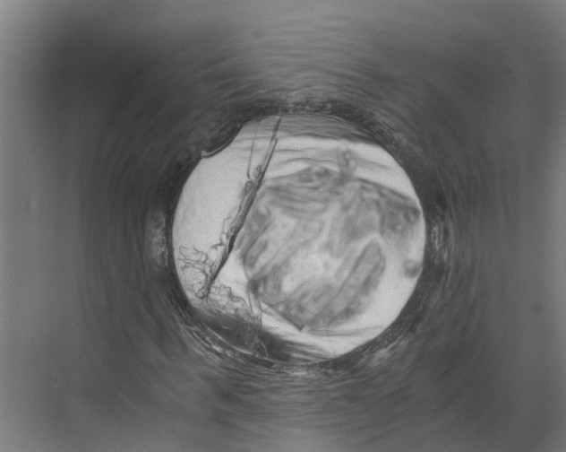 X0000073980963200609181712