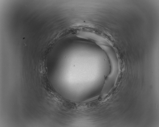 X0000073980965200609181712