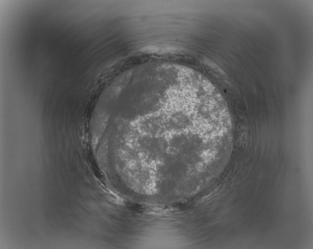 X0000073980966200609181712