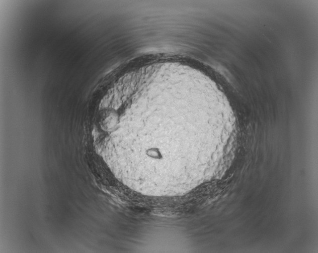 X0000073980967200609181712