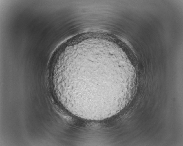 X0000073980971200609181712