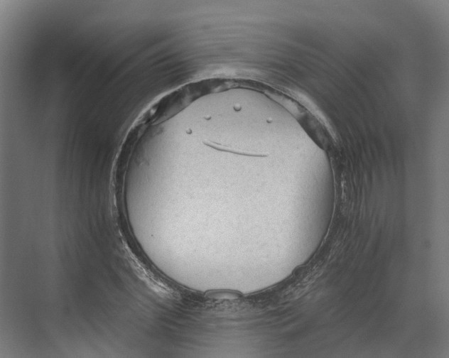 X0000073980972200609181712