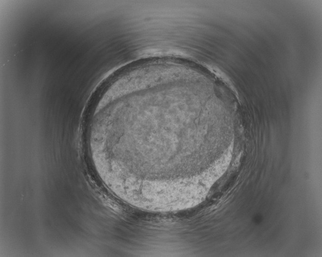 X0000073980975200609181712