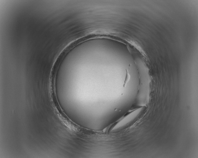 X0000073980976200609181712