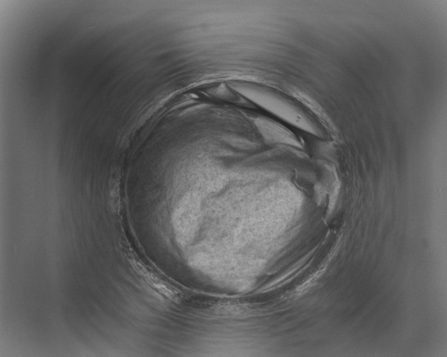 X0000073980977200609181712