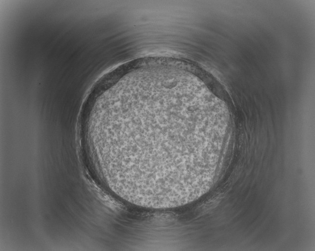 X0000073980979200609181712