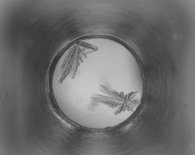 X0000073980982200609181712