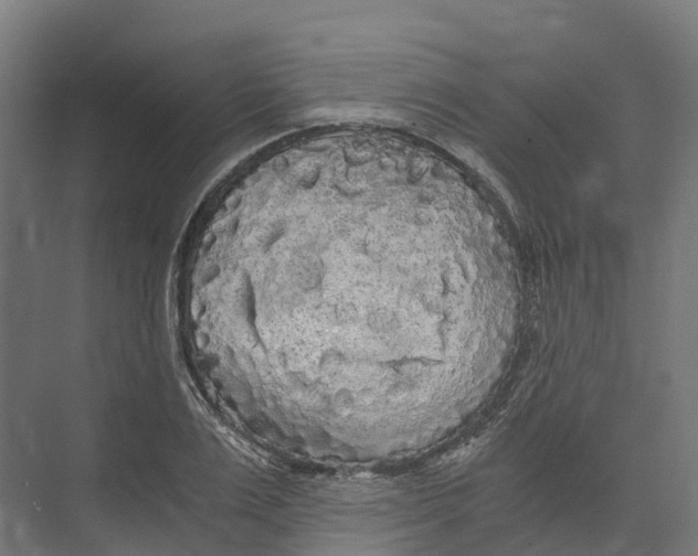 X0000073980983200609181712