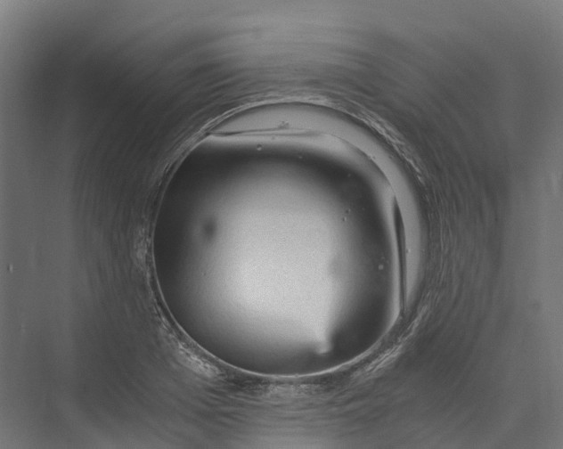 X0000073980985200609181712