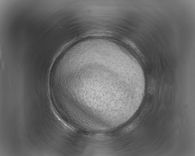 X0000073980986200609181712