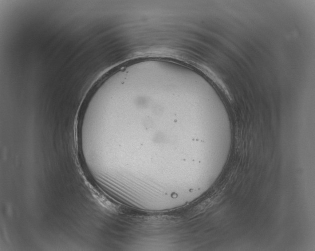 X0000073980988200609181712