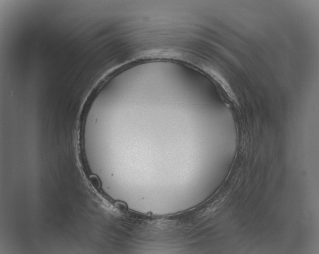 X0000073980992200609181712