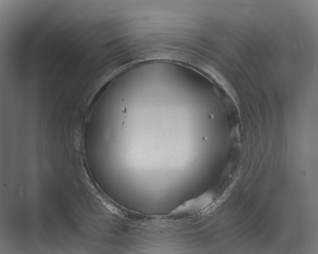 X0000073980993200609181712