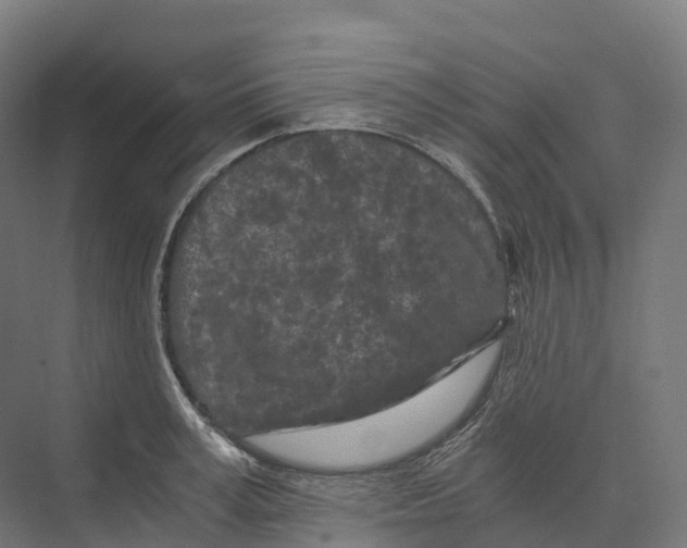 X0000073980995200609181712