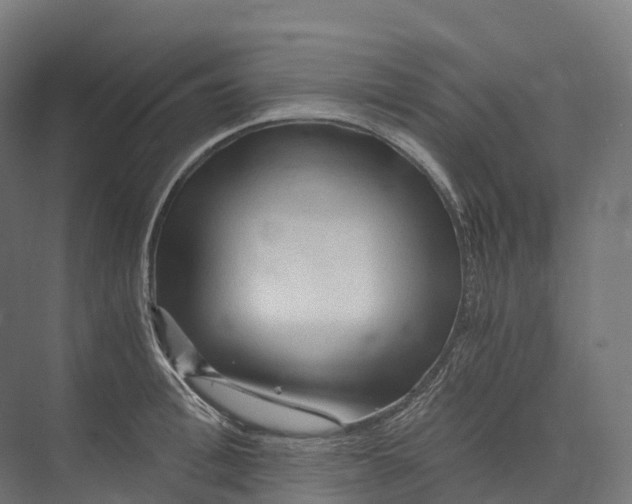 X0000073980996200609181712