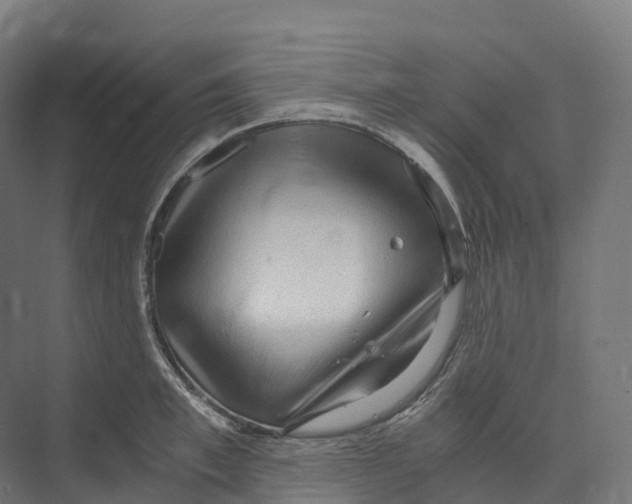 X0000073980997200609181712