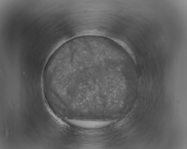 X0000073980998200609181712