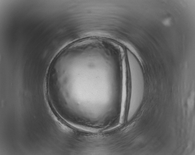 X0000073980999200609181712