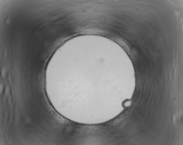 X0000073981000200609181712