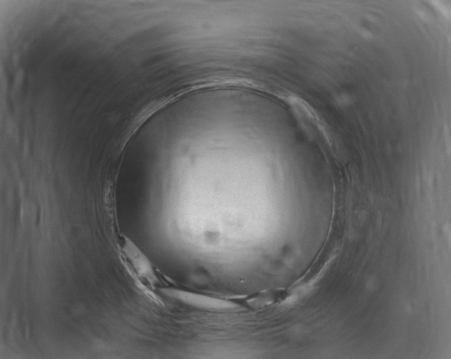 X0000073981001200609181711