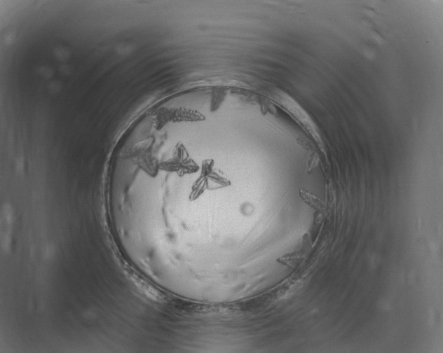 X0000073981002200609181711