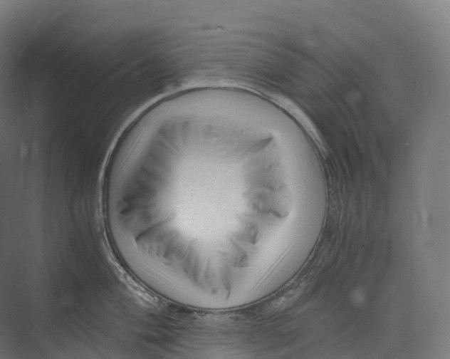 X0000073981004200609181711