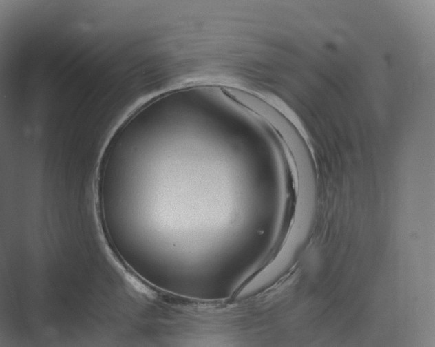 X0000073981005200609181711