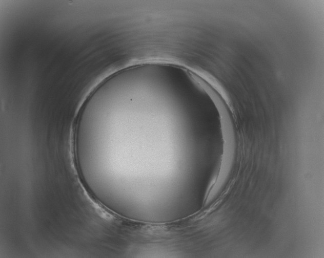 X0000073981006200609181711