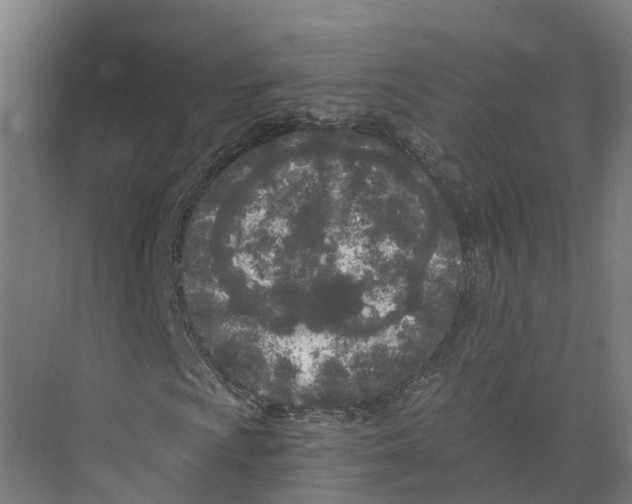 X0000073981009200609181711