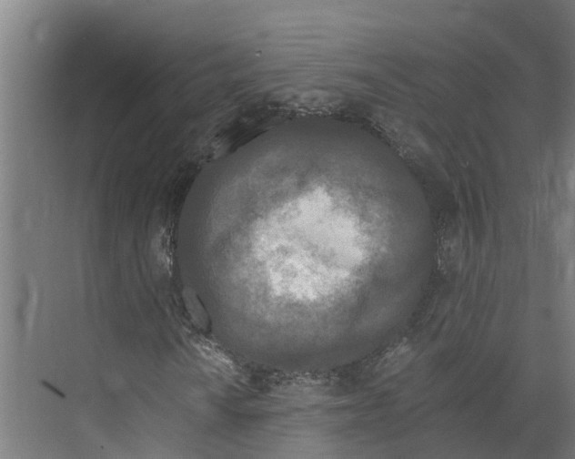 X0000073981010200609181711