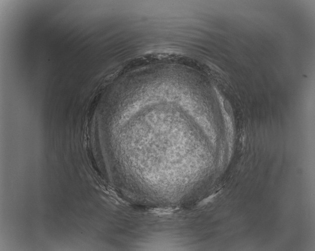 X0000073981014200609181711