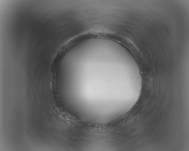 X0000073981016200609181711