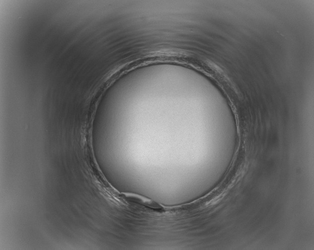 X0000073981017200609181711