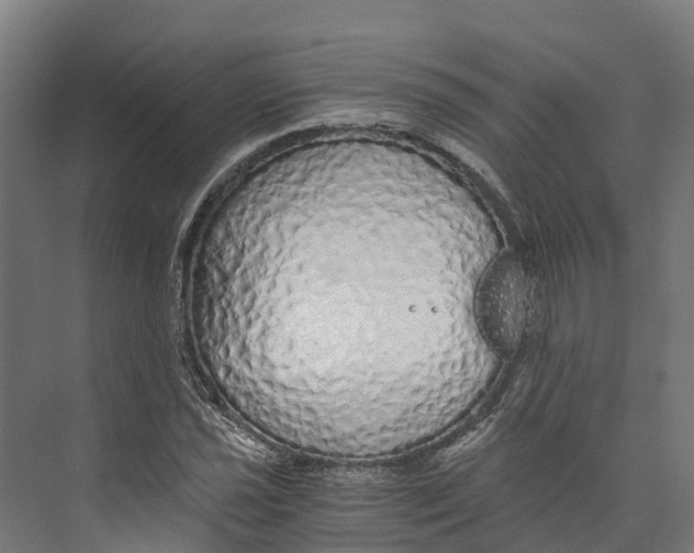 X0000073981021200609181711