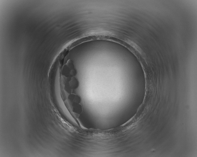 X0000073981022200609181711