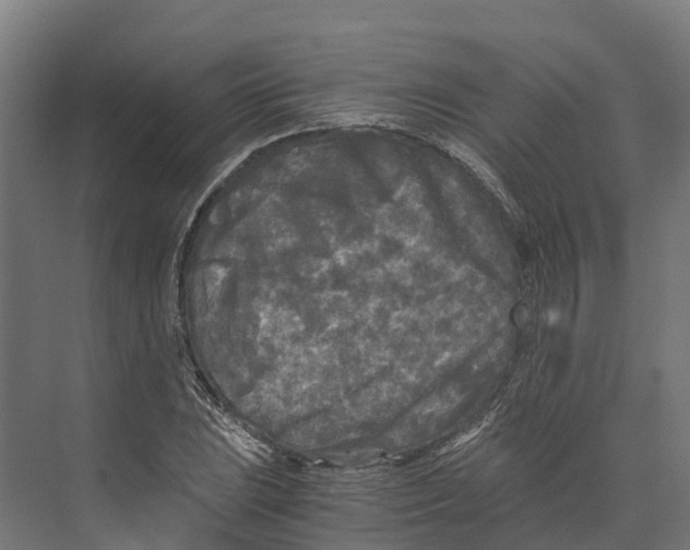 X0000073981023200609181711