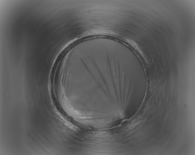 X0000073981024200609181711