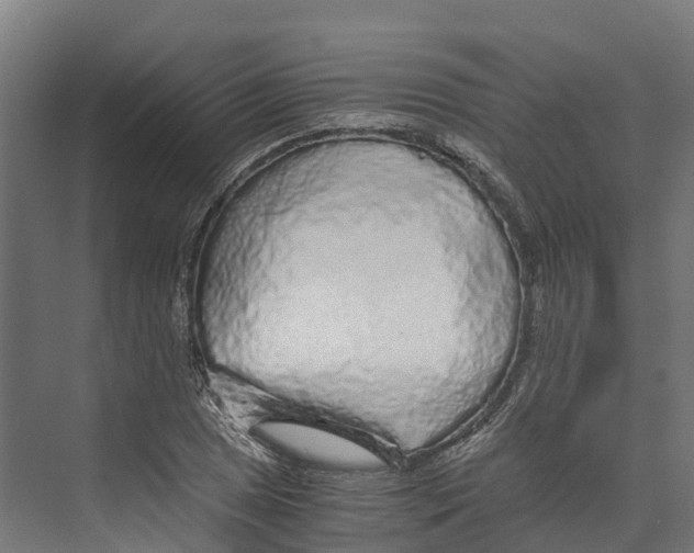 X0000073981025200609181711