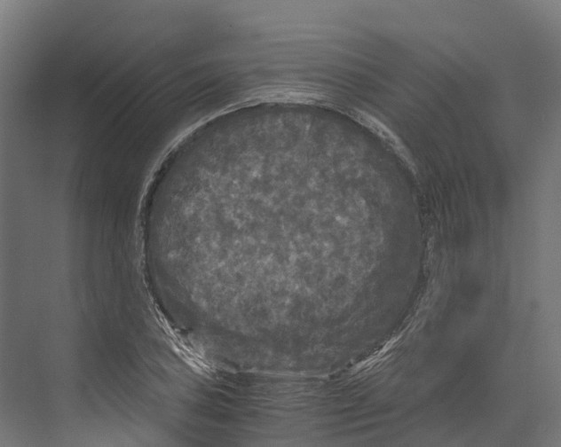 X0000073981027200609181711